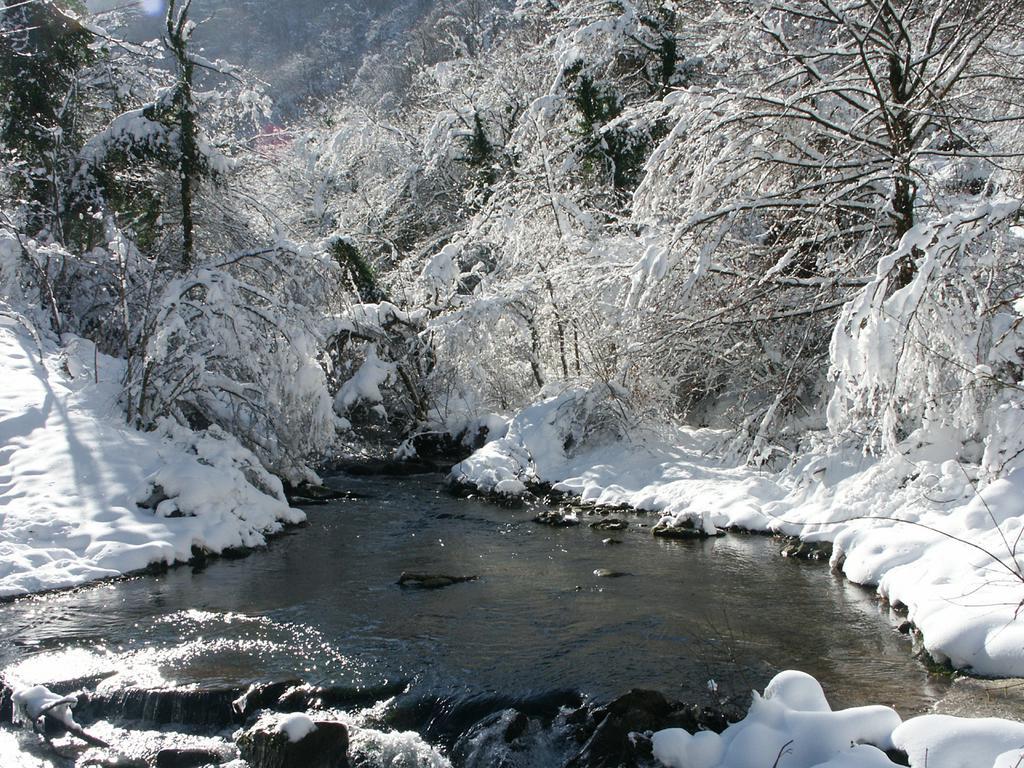 Pieve Di Ca Maggiore Firenzuola Exteriör bild